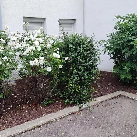 Raphaelle #6 Centre Avec Parking *