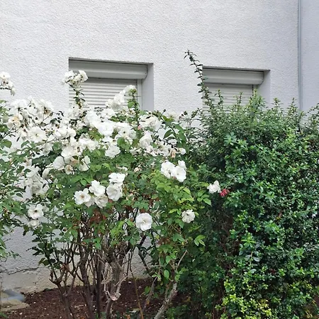 アパート Raphaelle #6 Centre Avec Parking